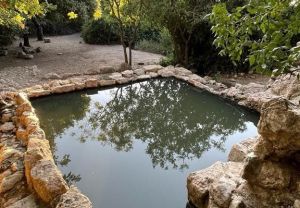 עין תמר: ירושלים של מים